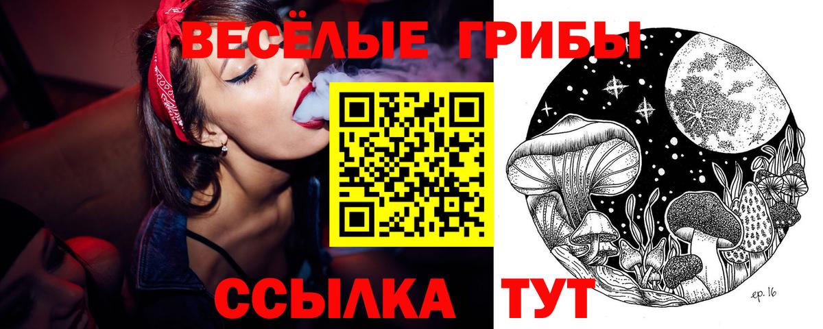 Галлюциногенные грибы Magic Shrooms Чапаевск